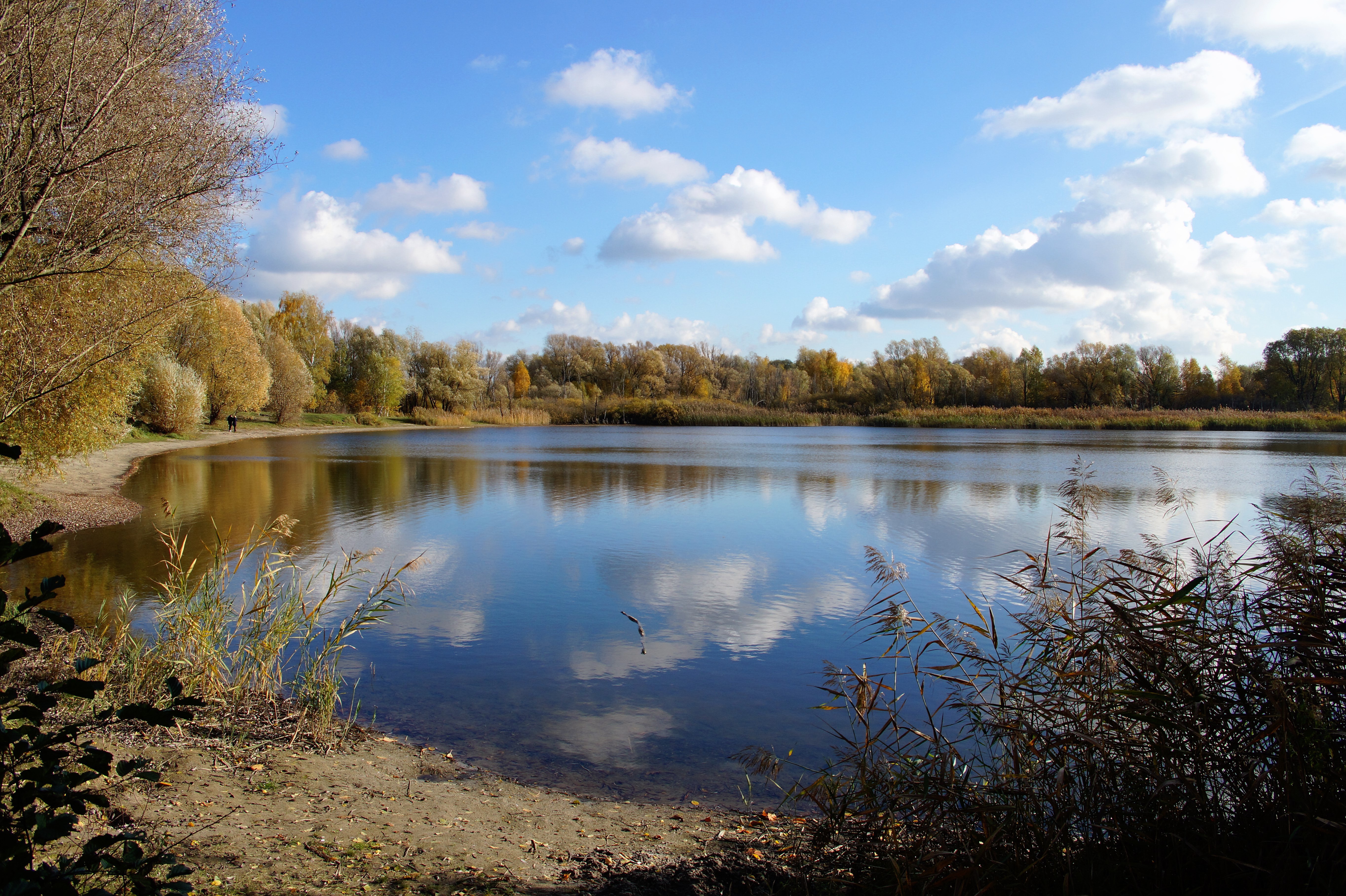 Bild: Gerhard Roland Hesse / Pixabay